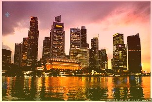 每日点评：反弹如约而至市场聚焦超跌
